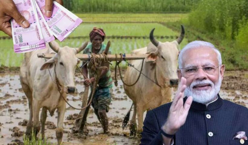 farmer pm 1024x683 1