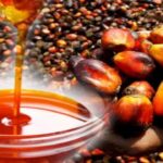 palm oil