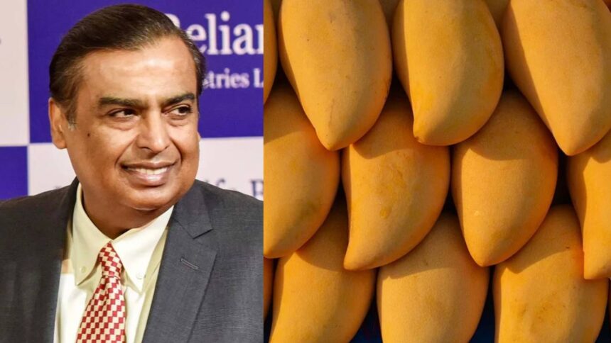 mango