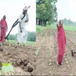 FARMER