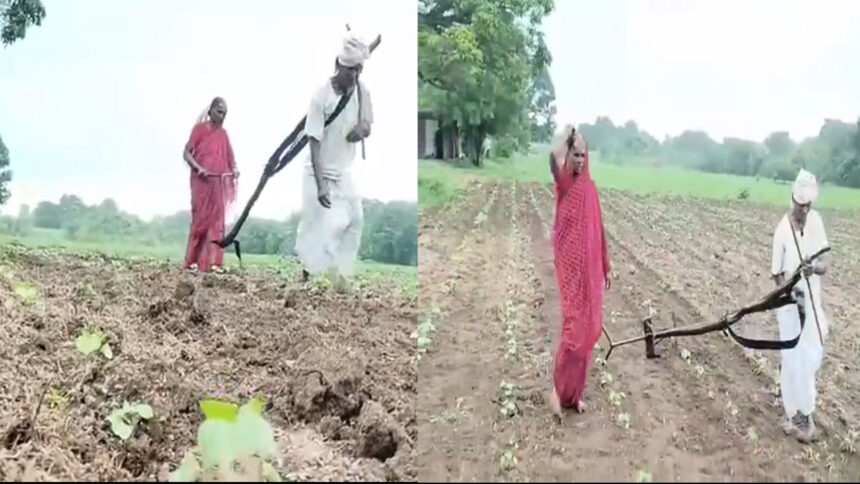 FARMER