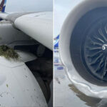 PLANE 6