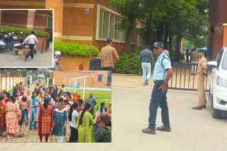 baroda