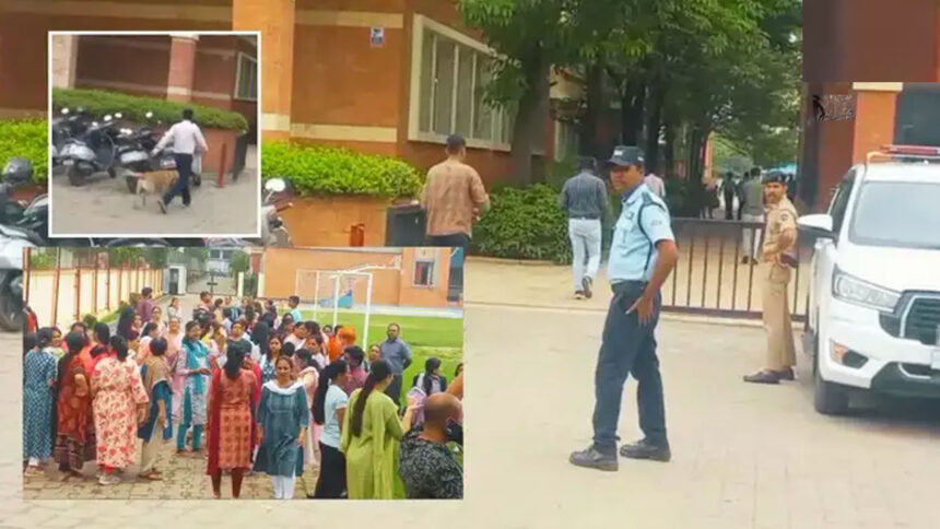 baroda