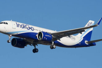 indigo