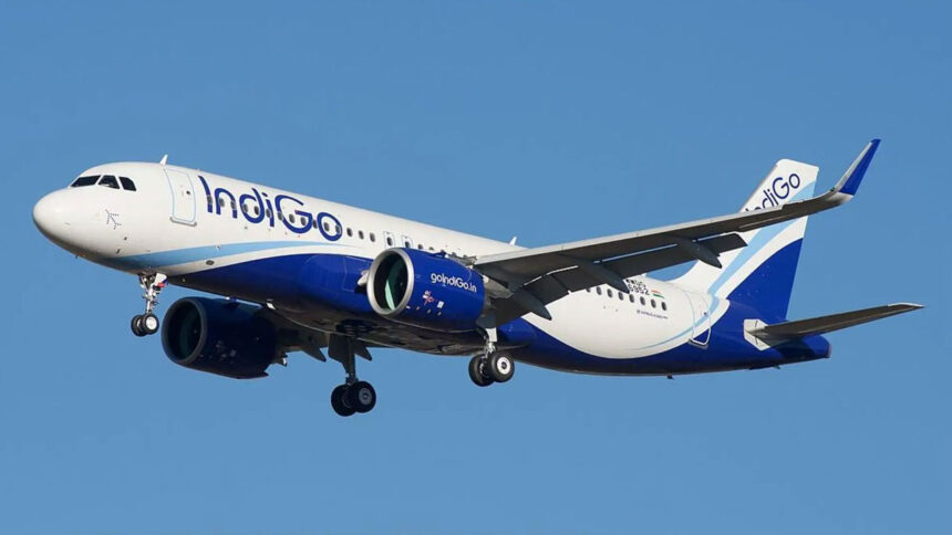 indigo