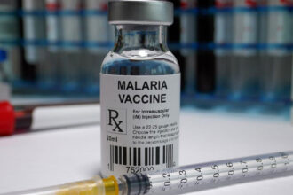 malaria