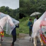 Ghoda