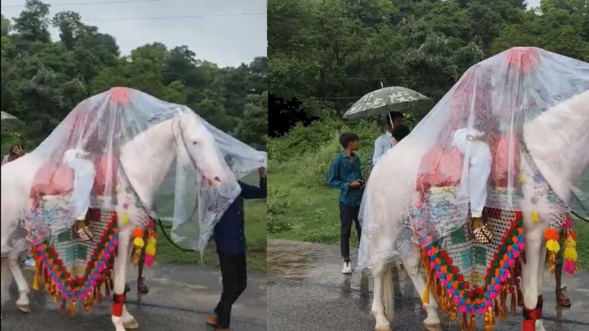 Ghoda
