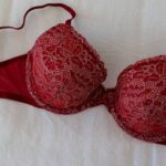 bra