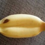 kela