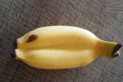 kela