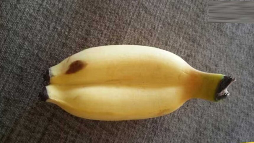 kela