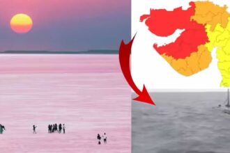 Kutch