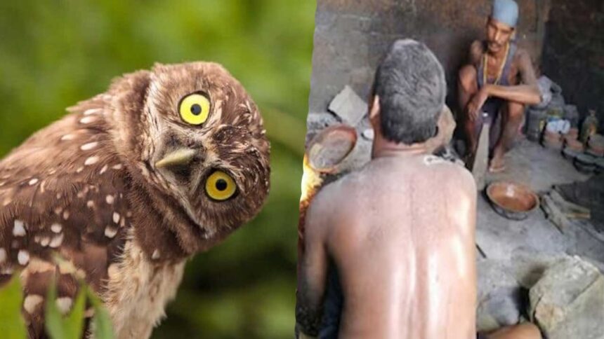 ullu